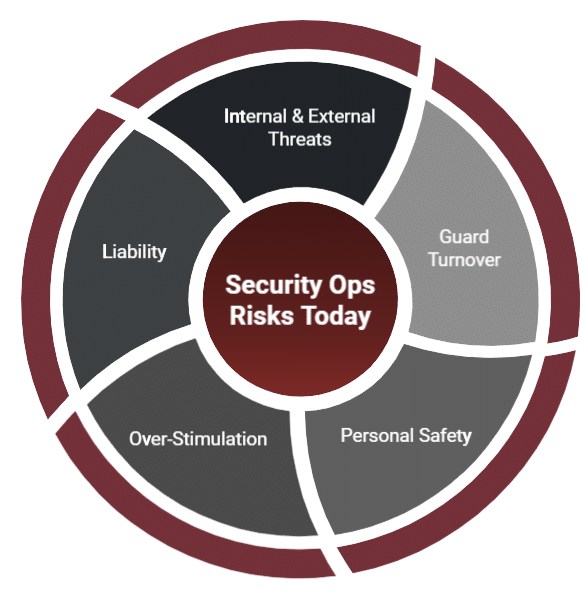 A graphic that shows some of the issues that security professionals have