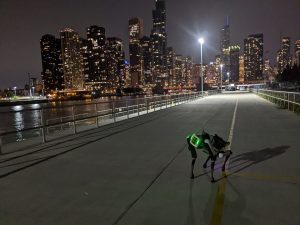 A DroneDog perimeter security robot in a city.