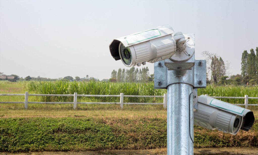 Fixed, tall, cylindrical trail cameras provide limited visibility of a sprawling commercial agricultural site. 