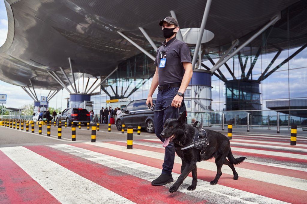 Security officer with a patrol dog monitoring the airport terminal entrance. 