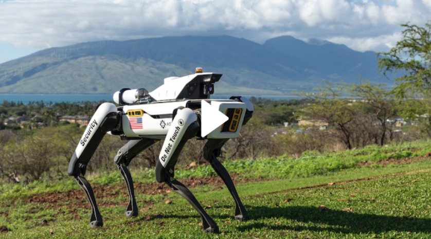 How Robotic ‘Drone Dogs’ Can Help the Air Force Maintain Its Fleet | Washington Examiner