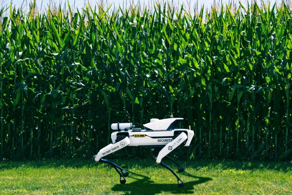 Robot Dogs Deployed to Protect Crops Amid Food Crisis | Futurism
